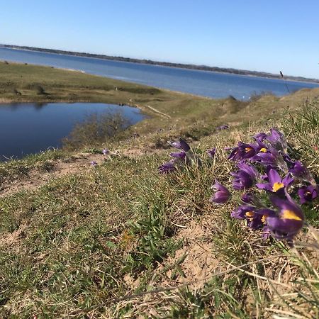 Porshus Ferielejlighed Sundstrup Esterno foto