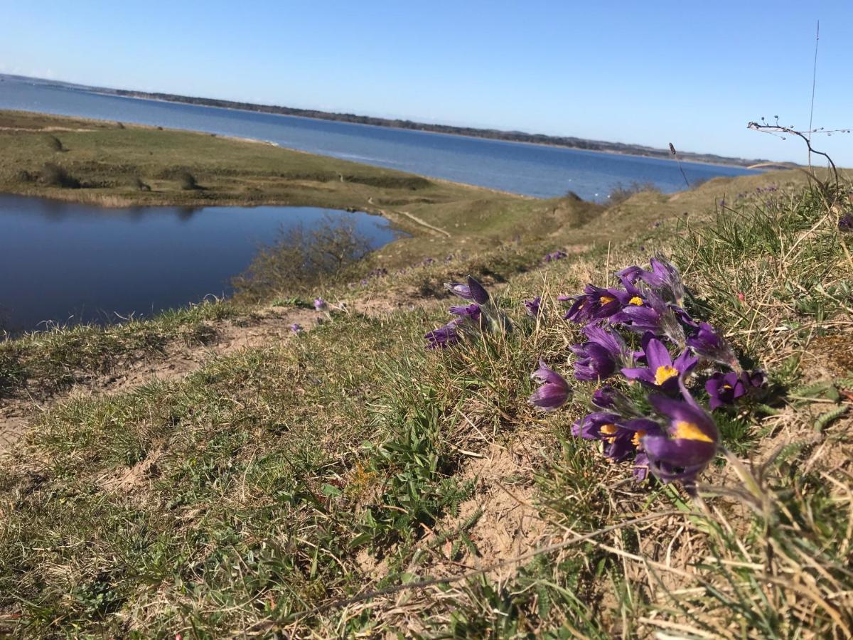 Porshus Ferielejlighed Sundstrup Esterno foto